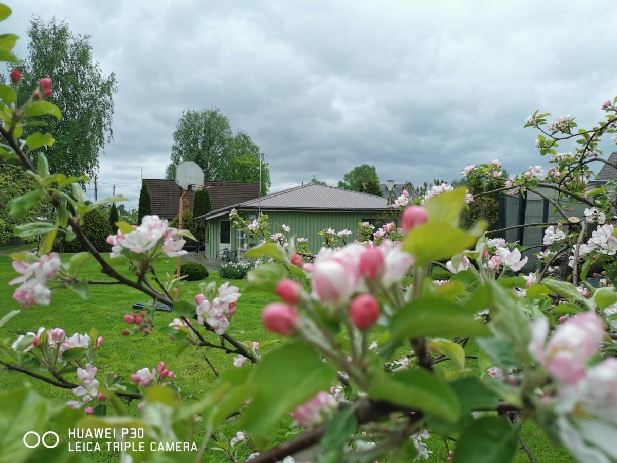 Kaare Guesthouse Viljandi  Luaran gambar